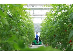 彭巧梅：以智慧农业助推乡村振兴