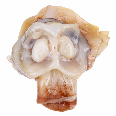 新鲜鱿鱼脖鲜切水产鱿鱼冷冻批发八爪鱼海捕特产火锅食材批发10斤图4