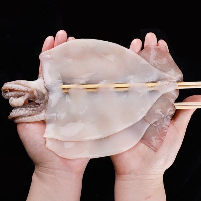 社区团购专供新鲜鱿鱼串冷冻水产大鱿鱼鲜活深海海鲜火锅食材商用图4