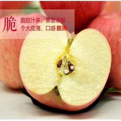 山东烟台红富士苹果礼品盒栖霞奶油苹果水果新鲜10斤脆甜糖心代发图2