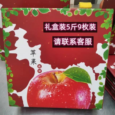 脆甜烟台红富士苹果水果新鲜条纹山东栖霞萍果10斤批发包邮礼品盒图3
