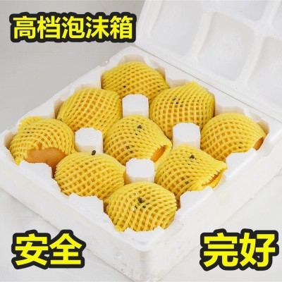 烟台黄元帅苹果应季水果新鲜水果香甜宝宝水果副食挖泥吃粉面苹果图3