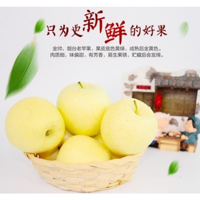 烟台黄元帅苹果应季水果新鲜水果香甜宝宝水果副食挖泥吃粉面苹果图2