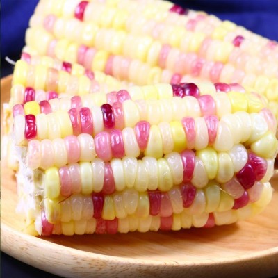 一件代发广西新鲜花糯玉米10斤农家生甜糯玉米3斤带皮粘黏棒苞米图2