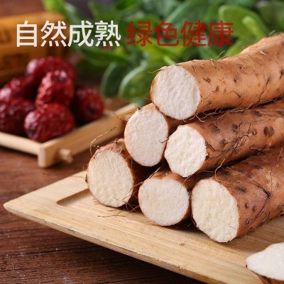 一件代发河南焦作温县正宗新鲜垆土铁棍山药淮山怀山河北铁棍山药图2