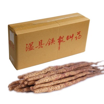 一件代发河南焦作温县正宗新鲜垆土铁棍山药淮山怀山河北铁棍山药图4