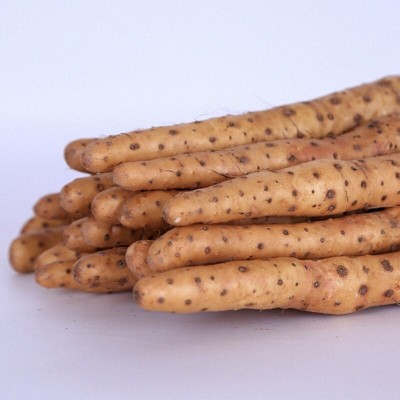 一件代发河南焦作温县正宗新鲜垆土铁棍山药淮山怀山河北铁棍山药图5