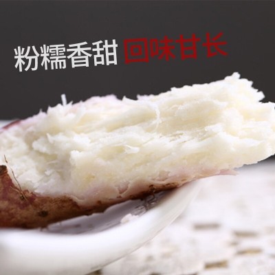 一件代发河南焦作温县正宗新鲜垆土铁棍山药淮山怀山河北铁棍山药图3