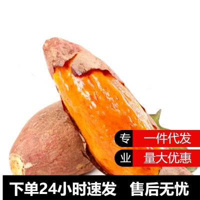 山东烟薯25号红薯农科院新鲜蜜薯糖心农家自种地瓜超甜番薯沙地图2