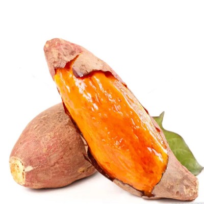 山东烟薯25号红薯农科院新鲜蜜薯糖心农家自种地瓜超甜番薯沙地图5