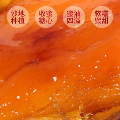 山东烟薯25号红薯农科院新鲜蜜薯糖心农家自种地瓜超甜番薯沙地图4