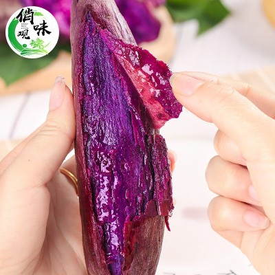 新鲜紫薯新鲜蔬菜地瓜5斤大果产地直供现挖现发番薯紫薯一件代发图4