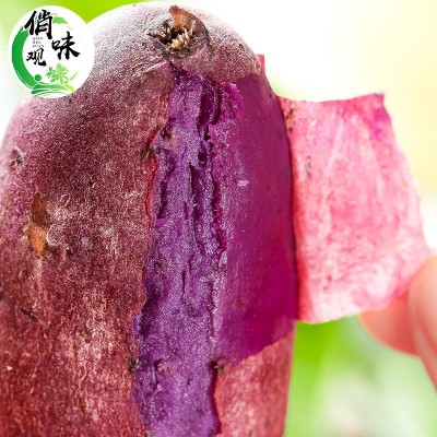 新鲜紫薯新鲜蔬菜地瓜5斤大果产地直供现挖现发番薯紫薯一件代发图3