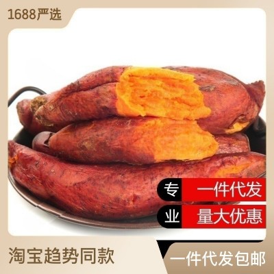 一件代发西瓜红红薯蜜薯糖心板栗薯番薯9斤湛江现挖沙土红薯批发图2