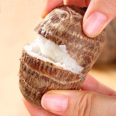 山东奶油芋头 新鲜蔬菜当季毛芋头 软糯牛奶小芋头代发图5