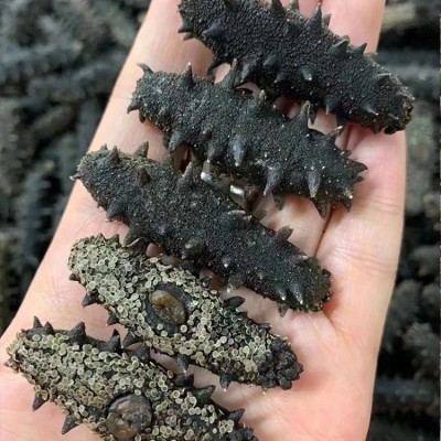 9年大连深海野生淡干海参500g深海辽刺参海参礼盒顺丰包海参干货图2