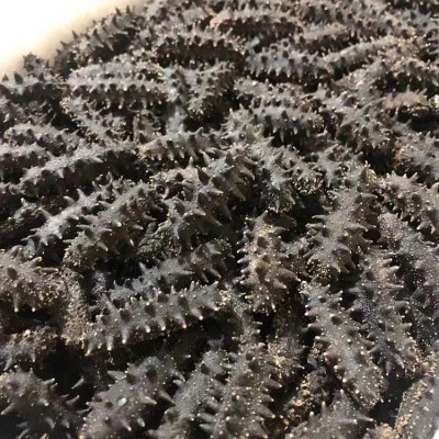 9年大连深海野生淡干海参500g深海辽刺参海参礼盒顺丰包海参干货图3