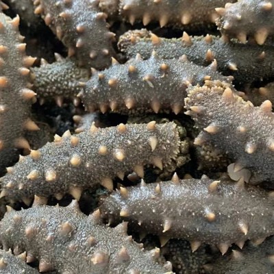 工厂直销顶火泡发5倍拉缸盐半干海参500g大连非即食半干海参批发图3