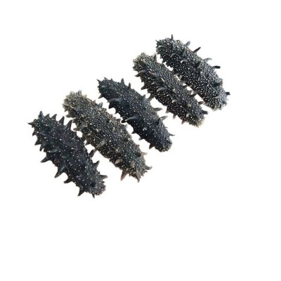 海参工厂直供大连深海淡干海参辽刺参干货批发代理礼盒可代发500g图5