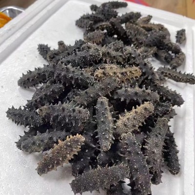 海参工厂直供大连深海淡干海参辽刺参干货批发代理礼盒可代发500g图4