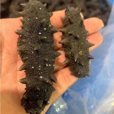 海参工厂辽宁大连A级拉缸盐海参半干海参批发代理泡发5斤代发现货图3