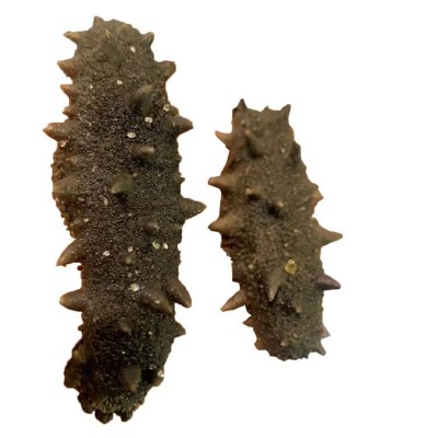 海参工厂辽宁大连A级拉缸盐海参半干海参批发代理泡发5斤代发现货图4