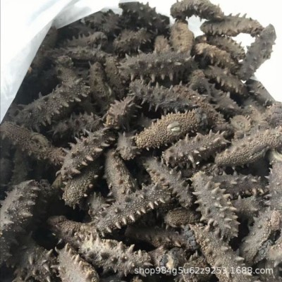 海参工厂辽宁大连A级拉缸盐海参半干海参批发代理泡发5斤代发现货图5