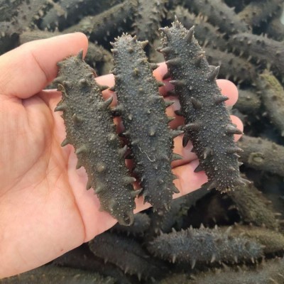 海参工厂批发代理支持代发500g直销辽宁大连大火侯拉杆盐 半干海参图2