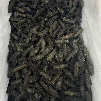 海参工厂批发代理支持代发500g直销辽宁大连大火侯拉杆盐 半干海参图5