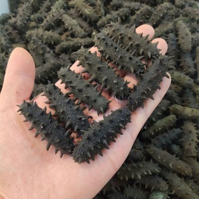 海参工厂批发代理支持代发500g直销辽宁大连大火侯拉杆盐 半干海参图3