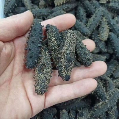 工厂直供大连淡干海参滋补辽刺参干货批发礼盒装海参干货500g包邮图4