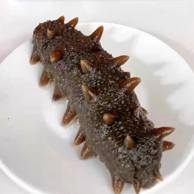 即食海参大连野生辽参刺参鲜参非干货冷冻即食海参500g水产品海参图4