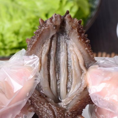 即食海参大连野生辽参刺参鲜参非干货冷冻即食海参500g水产品海参图2