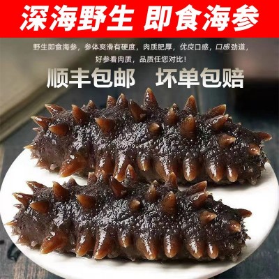 海参批发代理干货礼盒支持一件代发工厂直供辽宁大连淡干海 参刺参图5
