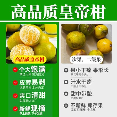 纯甜广西皇帝柑新鲜橘子现摘3-9斤一级品质大果当季水果一件代发图2
