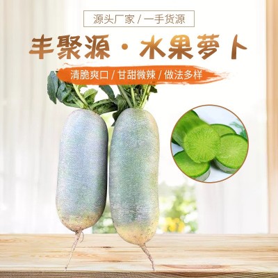 山东潍坊青萝卜 正宗潍县萝卜 新鲜甜脆生食现挖现发翠绿水果萝卜图2