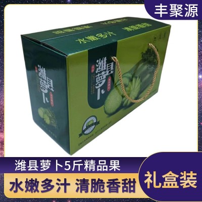 山东潍坊青萝卜 正宗潍县萝卜 新鲜甜脆生食现挖现发翠绿水果萝卜图4