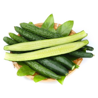 新鲜密刺黄瓜现摘现发山东蔬菜生吃清脆水果绿青瓜3斤五斤装批发图3