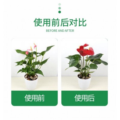 厂家植物花卉营养液花肥料家用通用型水培土培园艺贝可施批发代发图2