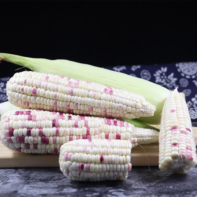 【新鲜玉米】广西花糯玉米3/5斤云南水果玉米10斤福建白牛奶玉米图3