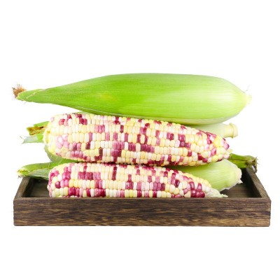 【新鲜玉米】广西花糯玉米3/5斤云南水果玉米10斤福建白牛奶玉米图5