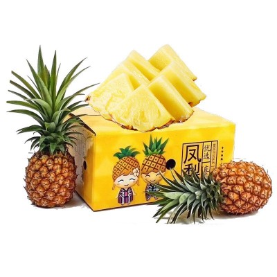 全年主推海南金钻凤梨 1件图2