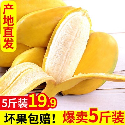 广东香蕉 广西小米蕉 5斤装 芭蕉 新鲜水果 生鲜 2件图4