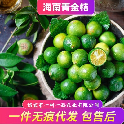 海南小金桔小青桔新鲜皮薄多汁小青柠青金桔柠檬奶茶水果5斤批发 1件图3