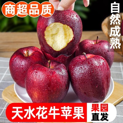 甘肃天水花牛苹果10斤新鲜水果整箱包邮糖心当季红蛇粉面平果丑果 1件图5