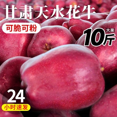 甘肃天水花牛苹果10斤新鲜水果整箱包邮糖心当季红蛇粉面平果丑果 1件图2