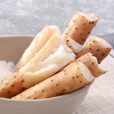 小白嘴正宗河北山药新鲜采挖当季蔬菜适蒸煮香甜软糯包邮一件代发 1件图3