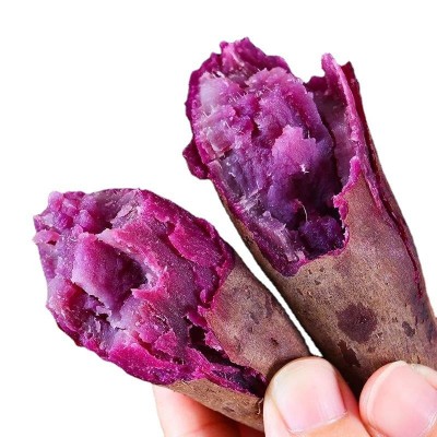 紫薯新鲜农家自种沙地红薯10斤紫罗兰蜜薯糖心甜山芋番薯一件代发 1件图4