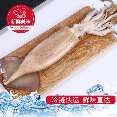 百鲜大鱿鱼鲜活冷冻鱿鱼须新鲜水产墨鱼章鱼海鲜烧烤铁板食材商用150只图4