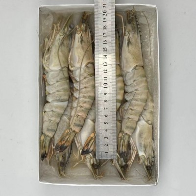 冷冻生鲜 6头8头10头大鬼虾黑虎虾 明虾草虾 九节虾 斑节虾 750g10件图3